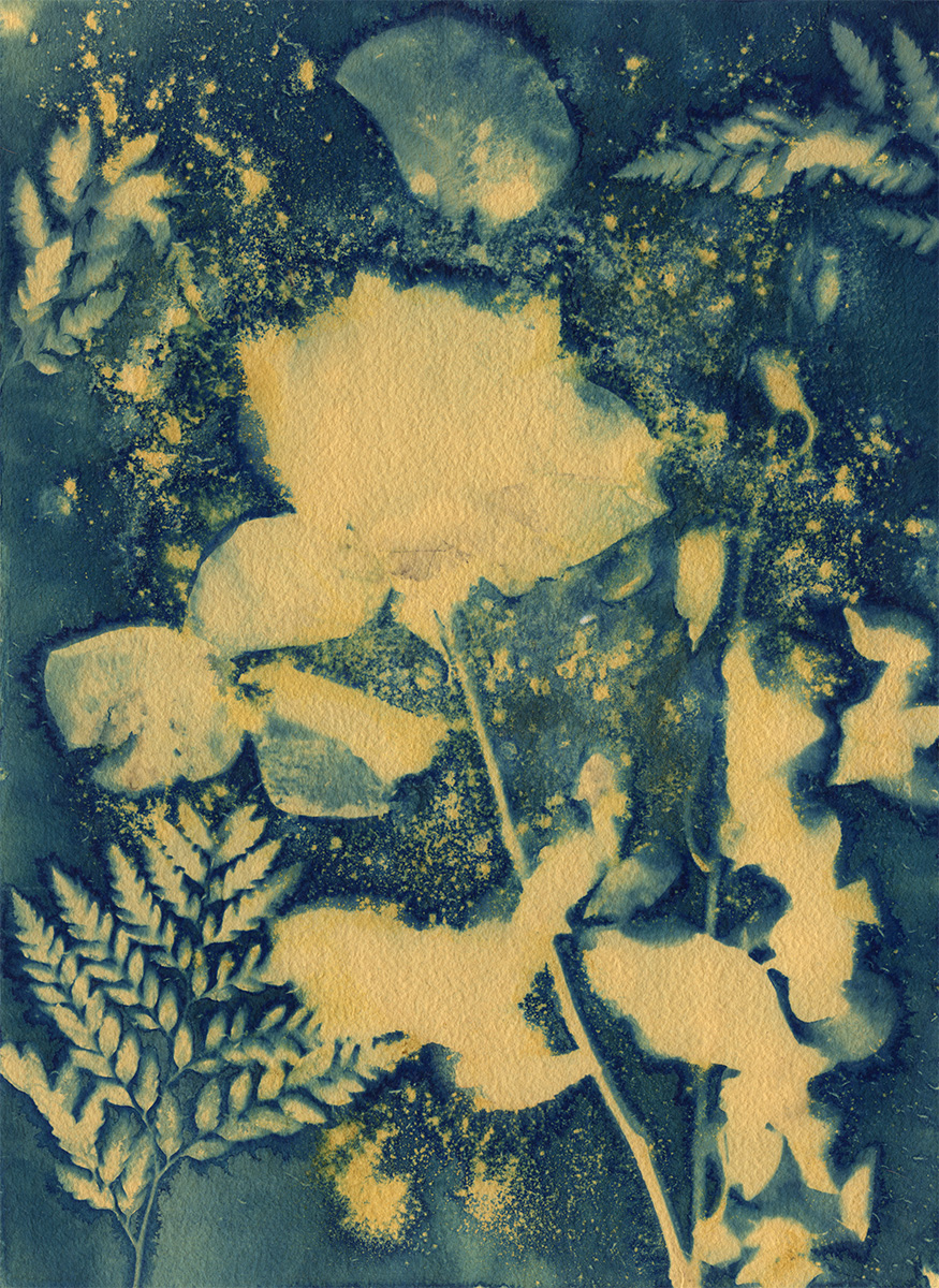 cyanotype fleur